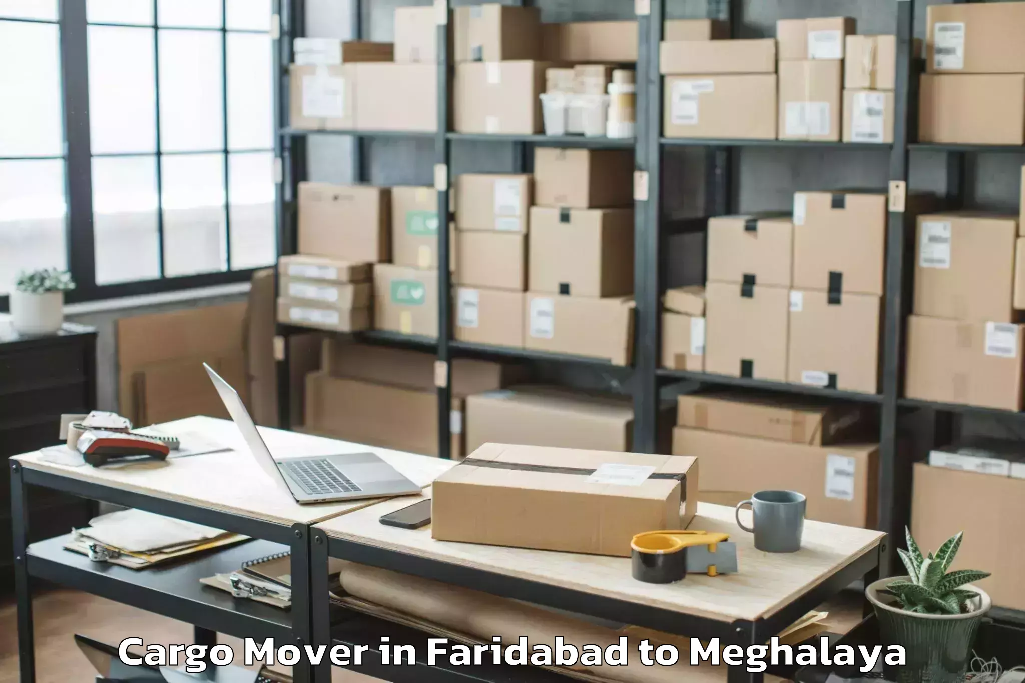 Top Faridabad to Mawkyrwat Cargo Mover Available